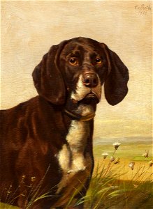 Caspar von Reth Hundeportrait 1893