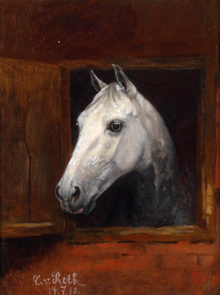 Caspar von Reth Portrait eines Schimmels 1910