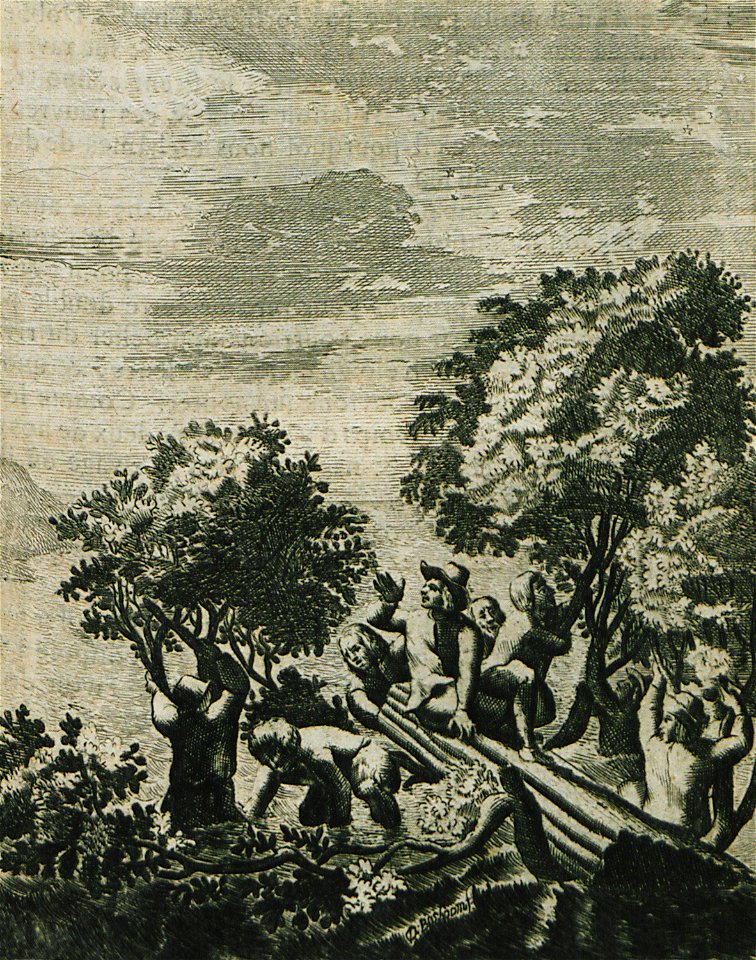 Castaways of Tershelling construct a dinghy - Struys Jan Janszoon - 1681