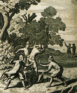 Castaways of Tershelling argue over the skin and meat of the dead buffalo - Struys Jan Janszoon - 1681