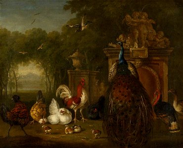 Pieter Casteels (1684-1749) - Peacock and Domestic Poultry near a Statue in a Garden - 266918 - National Trust