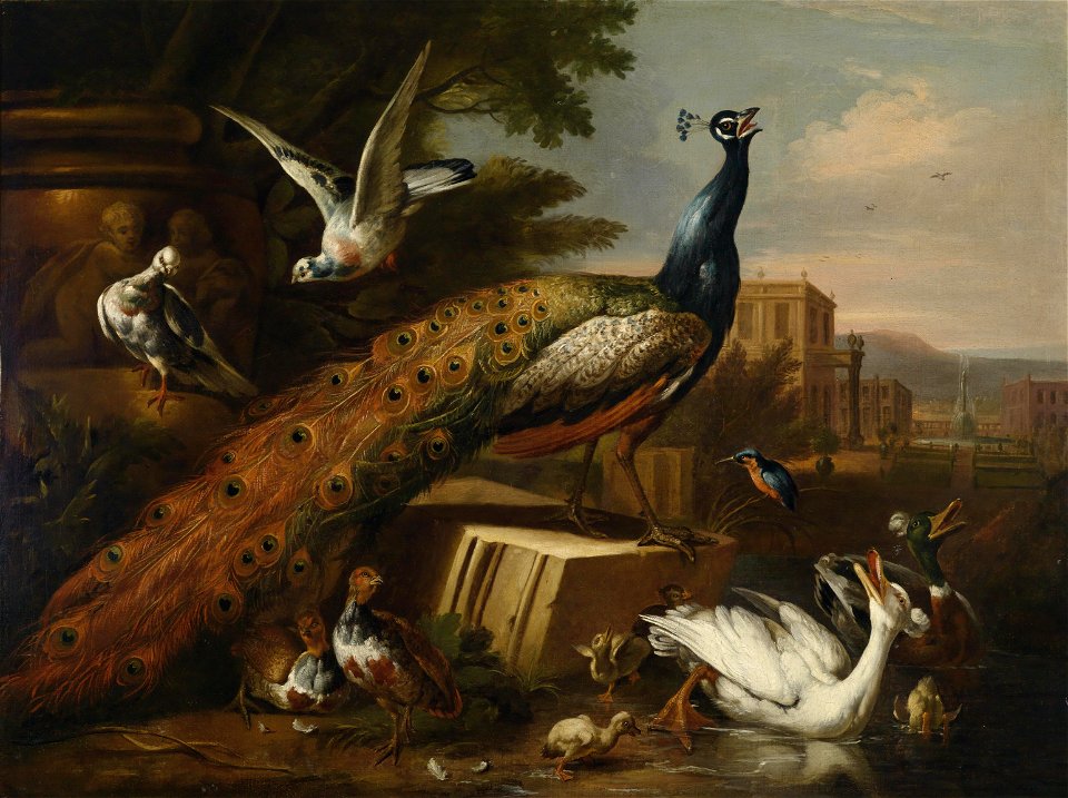 Pieter Casteels III (follower) Pfau