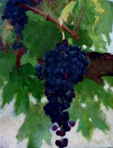 Castro, Celia - Uvas -osm MMBAV fRF 04