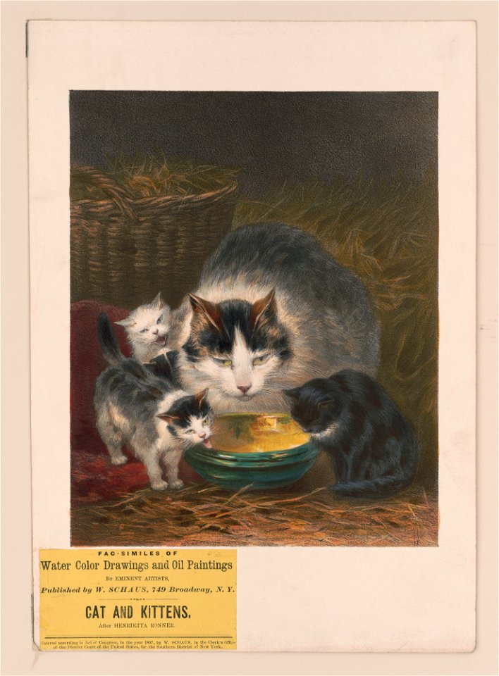 Cat and kittens - after Henrietta Ronner. LCCN2017650796