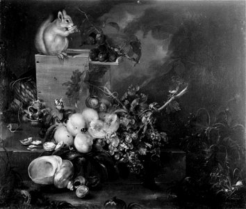 Catharina Treu - Vruchtenstilleven met een schelp en een eekhoorn - 399 - Staatliche Kunsthalle Karlsruhe