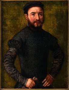 Catharina van Hemessen - Portrait of a Man - 57.262 - Rhode Island School of Design Museum