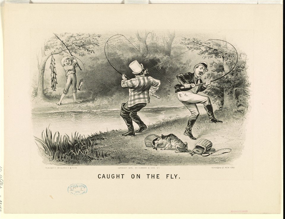 Caught on the fly LCCN90714343