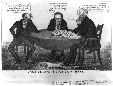 Caucus on the Surplus Bill LCCN2008661281
