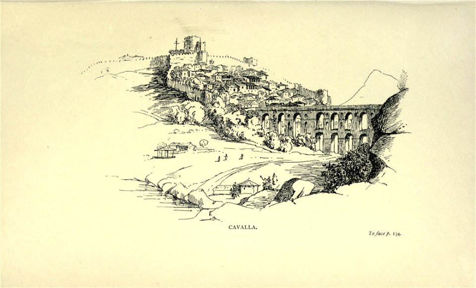 Cavalla by Mary Adelaide Walker