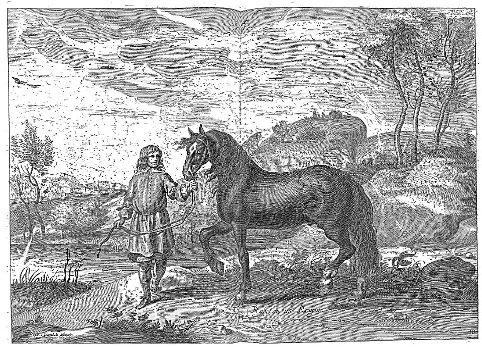 Cavendish - L’Art de dresser les chevaux, 1737-page046