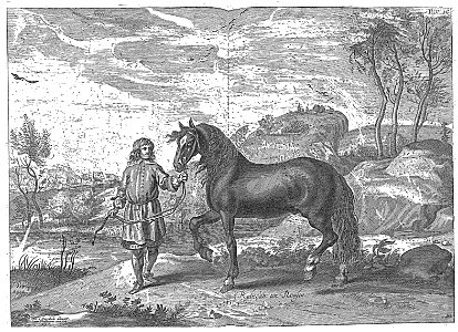 Cavendish - L’Art de dresser les chevaux, 1737-page046