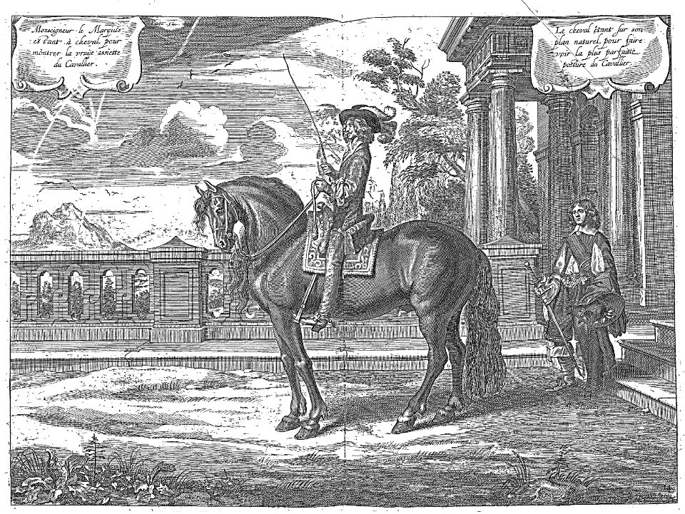 Cavendish - L’Art de dresser les chevaux, 1737-page062