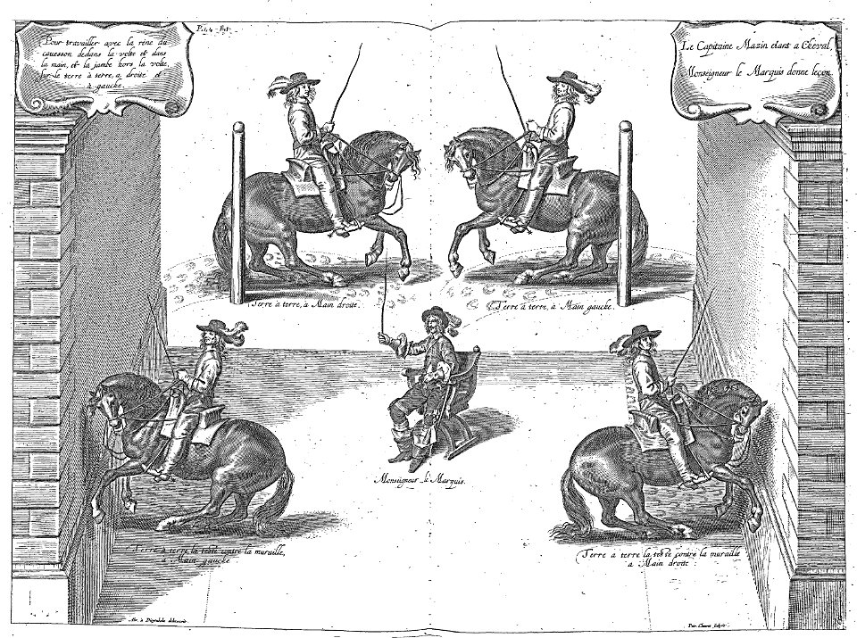 Cavendish - L’Art de dresser les chevaux, 1737-page106