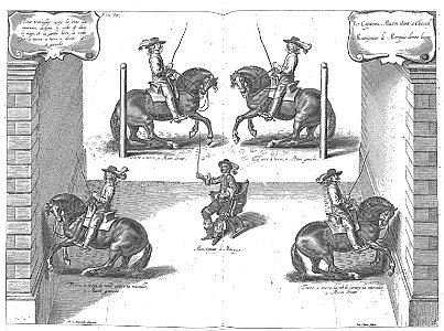 Cavendish - L’Art de dresser les chevaux, 1737-page106