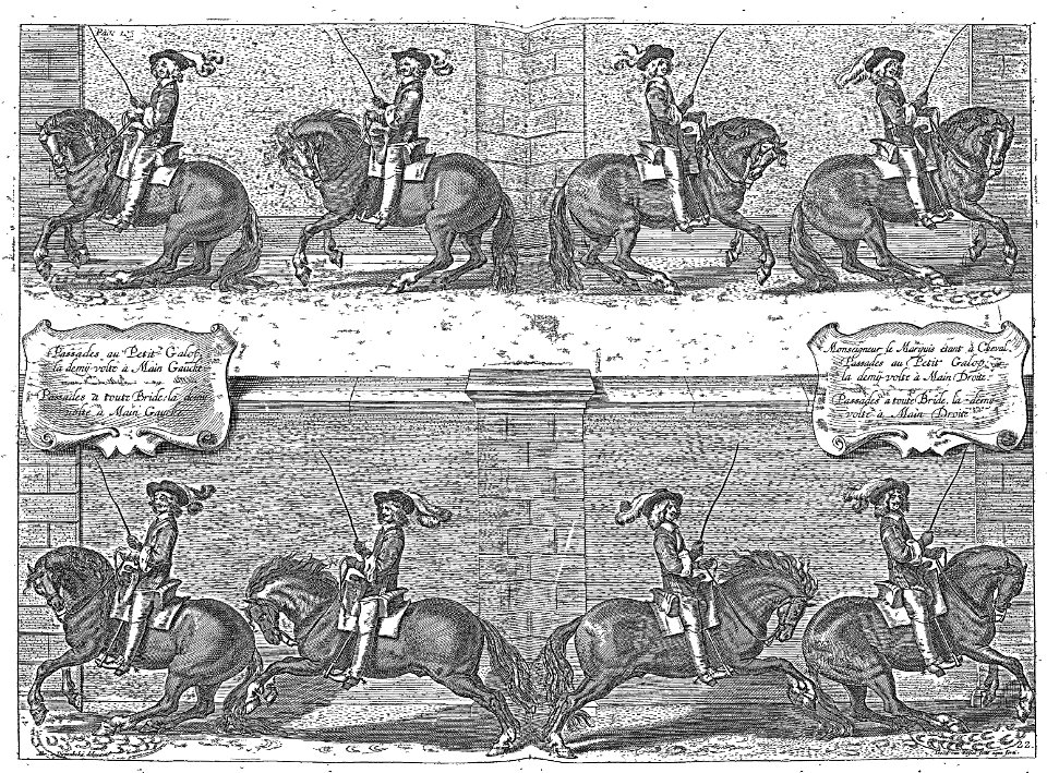 Cavendish - L’Art de dresser les chevaux, 1737-page124