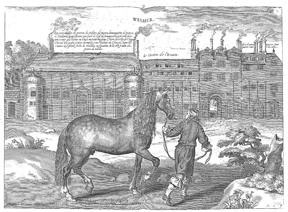 Cavendish - L’Art de dresser les chevaux, 1737-page045