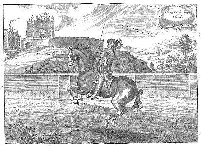 Cavendish - L’Art de dresser les chevaux, 1737-page190