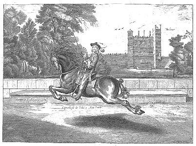 Cavendish - L’Art de dresser les chevaux, 1737-page194