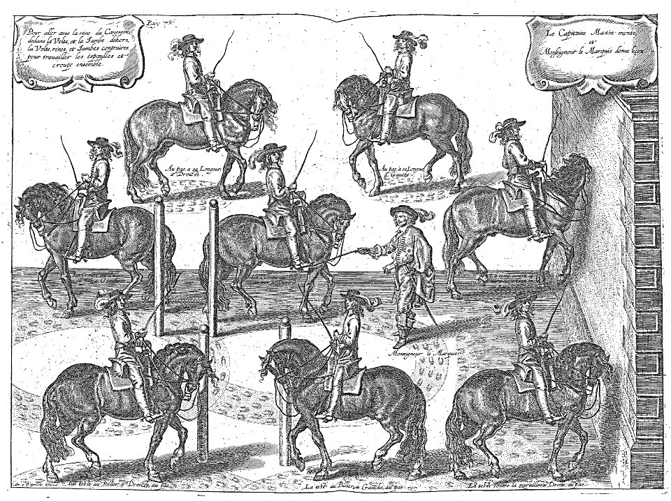 Cavendish - L’Art de dresser les chevaux, 1737-page095