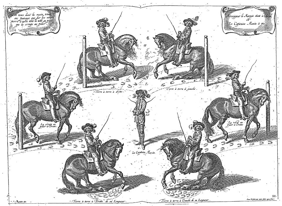 Cavendish - L’Art de dresser les chevaux, 1737-page121