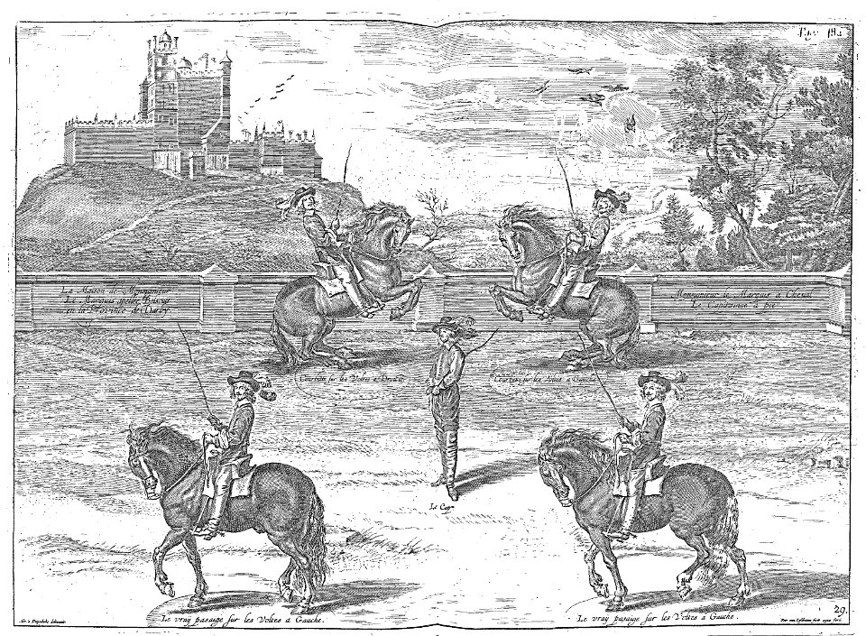 Cavendish - L’Art de dresser les chevaux, 1737-page189