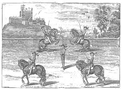 Cavendish - L’Art de dresser les chevaux, 1737-page189