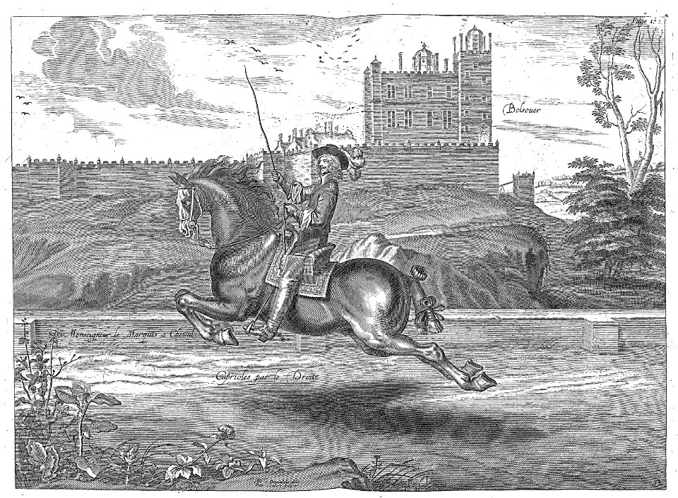 Cavendish - L’Art de dresser les chevaux, 1737-page193