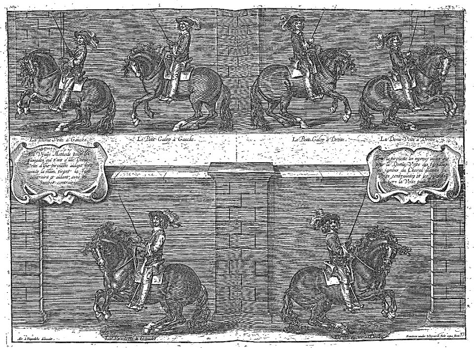 Cavendish - L’Art de dresser les chevaux, 1737-page253