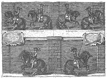 Cavendish - L’Art de dresser les chevaux, 1737-page253