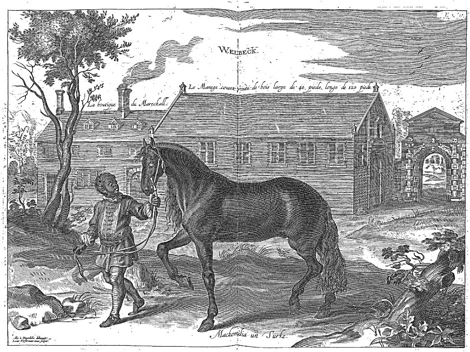 Cavendish - L’Art de dresser les chevaux, 1737-page044
