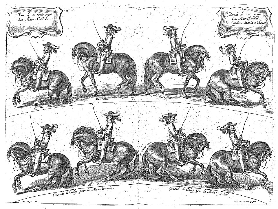 Cavendish - L’Art de dresser les chevaux, 1737-page082