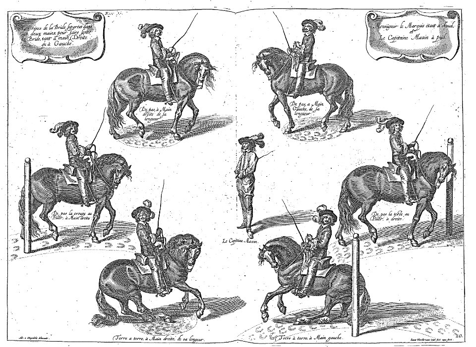 Cavendish - L’Art de dresser les chevaux, 1737-page114