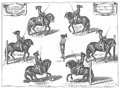 Cavendish - L’Art de dresser les chevaux, 1737-page114