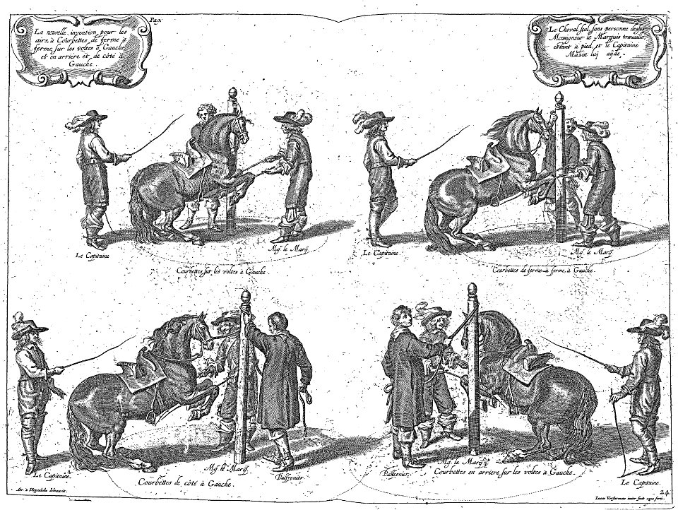 Cavendish - L’Art de dresser les chevaux, 1737-page152