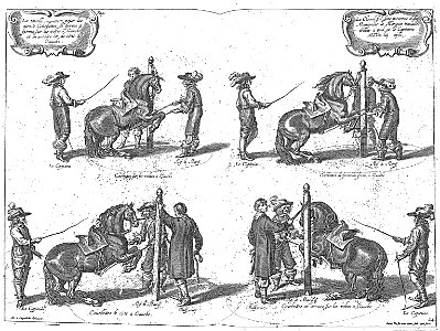 Cavendish - L’Art de dresser les chevaux, 1737-page152