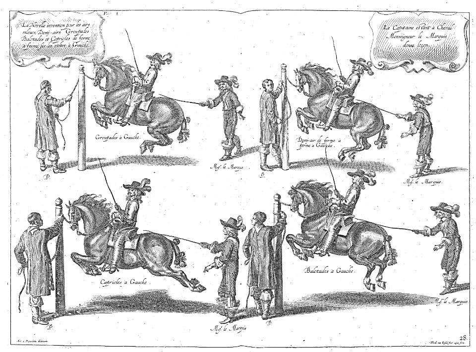 Cavendish - L’Art de dresser les chevaux, 1737-page178