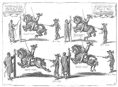 Cavendish - L’Art de dresser les chevaux, 1737-page178