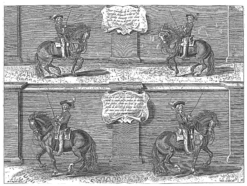 Cavendish - L’Art de dresser les chevaux, 1737-page240