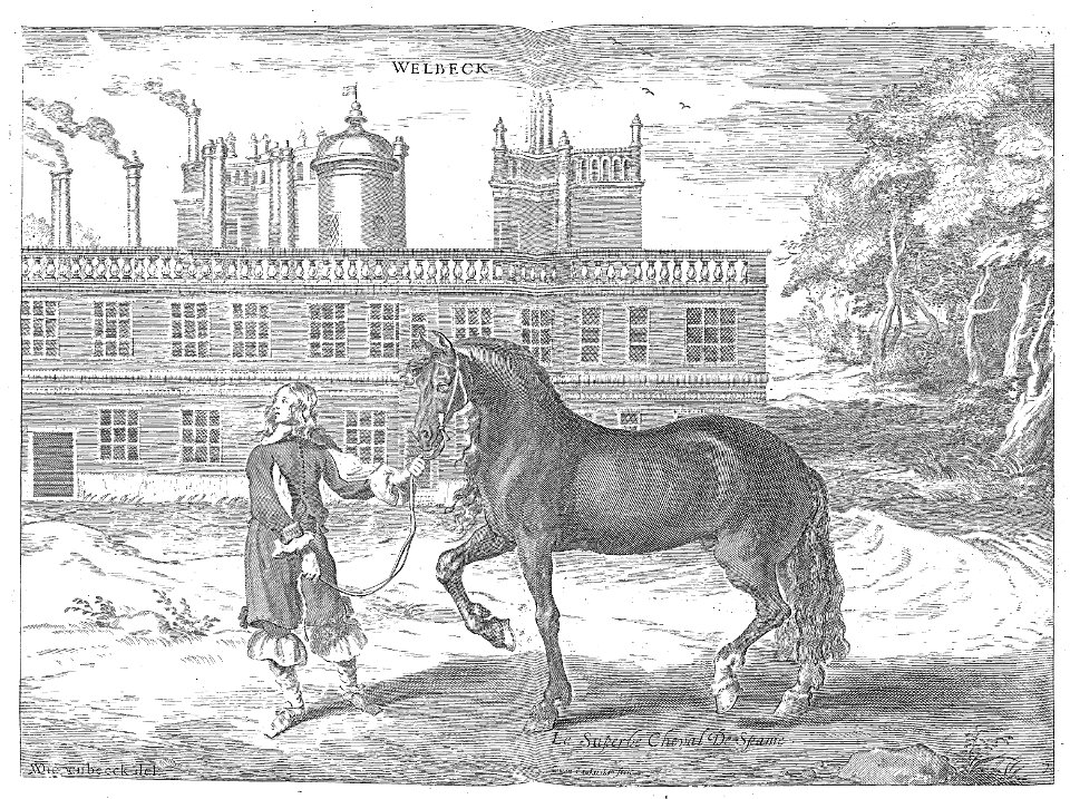 Cavendish - L’Art de dresser les chevaux, 1737-page043