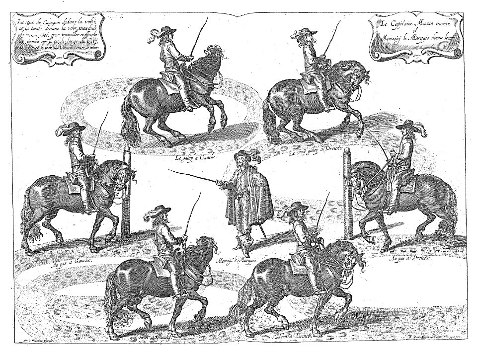 Cavendish - L’Art de dresser les chevaux, 1737-page081