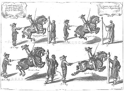 Cavendish - L’Art de dresser les chevaux, 1737-page175