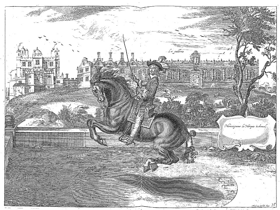 Cavendish - L’Art de dresser les chevaux, 1737-page195