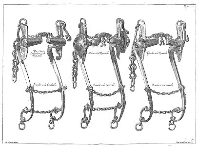 Cavendish - L’Art de dresser les chevaux, 1737-page257