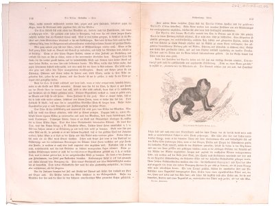 Cebus apella - 1700-1880 - Print - Iconographia Zoologica - Special Collections University of Amsterdam - UBA01 IZ20200035