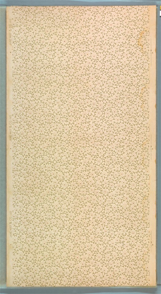 Ceiling (USA), 1905–15 (CH 18500783)