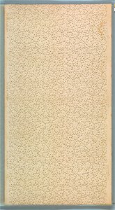 Ceiling (USA), 1905–15 (CH 18500783)