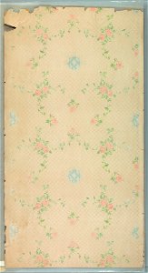 Ceiling Paper (USA), 1905–15 (CH 18500979)