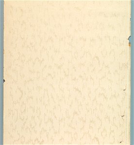 Ceiling Paper (USA), 1880–1920 (CH 18481447-2)