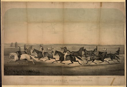 Celebrated American trotting horses - lith. W.H. Rease ; painted by R.A. Clarke. LCCN93516832