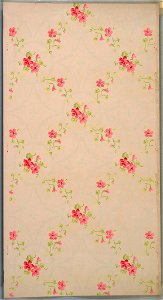 Ceiling Paper (USA), 1905–15 (CH 18500975)